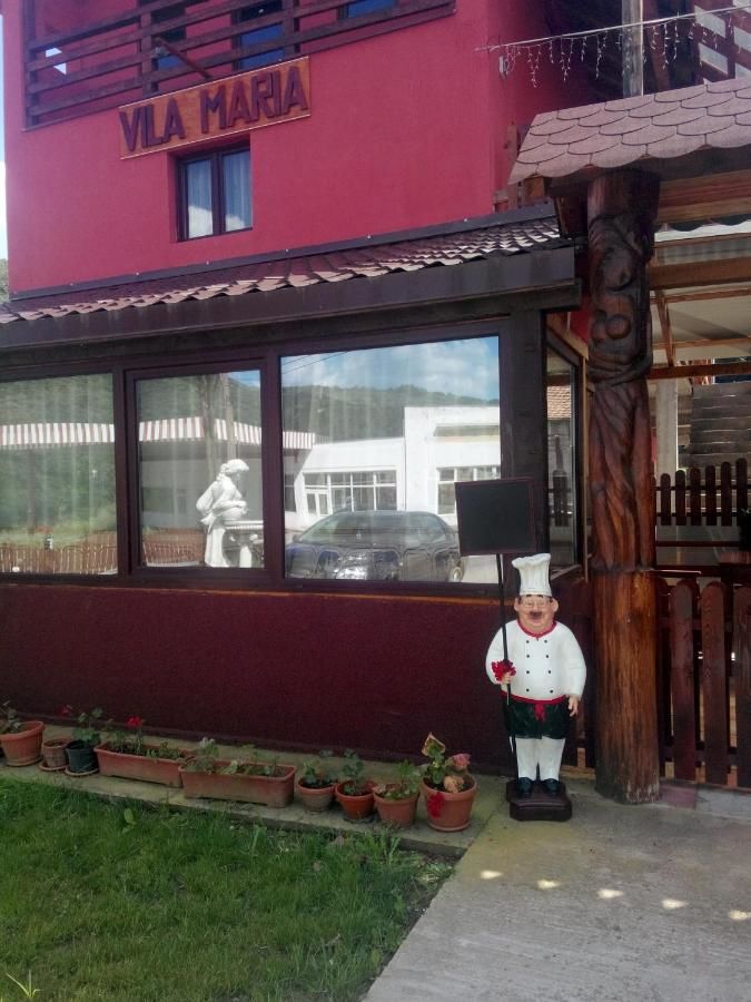 Гостевой дом VILA MARIA Bocşa-5